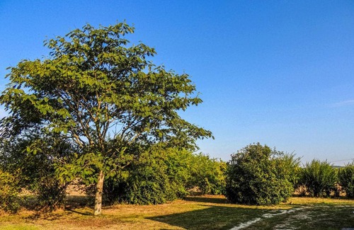 Saint-Chamassy House | 70 m² House ∙ 1 bedroom ∙ 3 guests