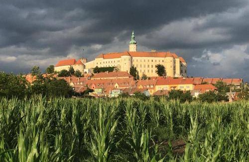 Mikulov Apartment | 70 m² Serviced apartment ∙ 2 bedrooms ∙ 4 guests
