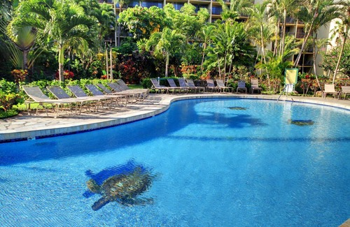 Honokowai Condo | 75 m² Condo ∙ 1 bedroom ∙ 4 guests