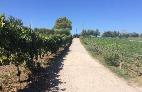 Zona XLV Castel di Guido House | 75 m² House ∙ 1 bedroom ∙ 5 guests