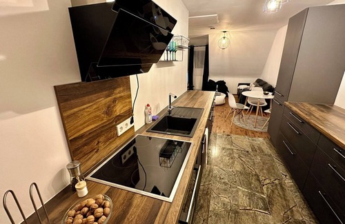 Weingartensiedlung Apartment | 77m² - 3 rooms modern center kitchen roof terrace WLAN