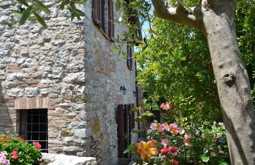 Corciano House | 80 m² House ∙ 1 bedroom ∙ 3 guests