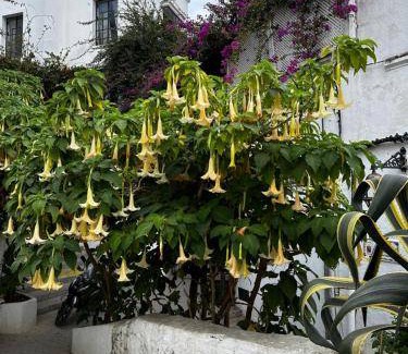 Medina of Tangier House | 80 m² House ∙ 1 bedroom ∙ 4 guests