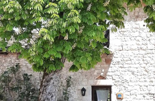 Andillac House | 80 m² House ∙ 2 bedrooms ∙ 5 guests