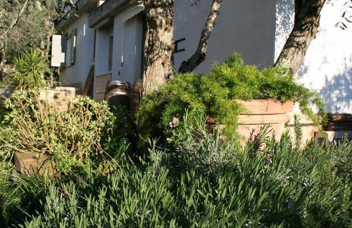 Serre di Rapolano Apartment | 90 m² Apartment ∙ 2 bedrooms ∙ 4 guests