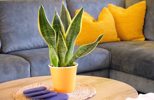 Tiel Apartment | 90 m² Apartment ∙ 2 bedrooms ∙ 4 guests