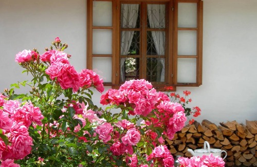 Weiz House | 98 m² House ∙ 1 bedroom ∙ 2 guests