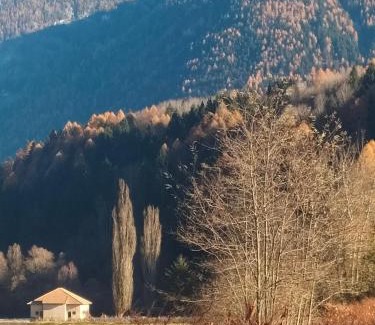 Marilleva 900 Apartment | A 2 passi dagli impianti