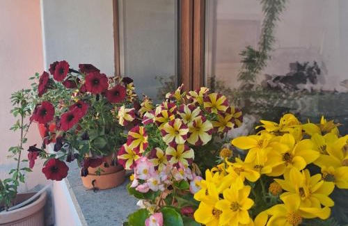 Campagnano di Roma House | A casa di Matisse