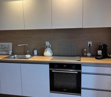 Hluboka nad Vltavou Apartment | A cosy basement apartment
