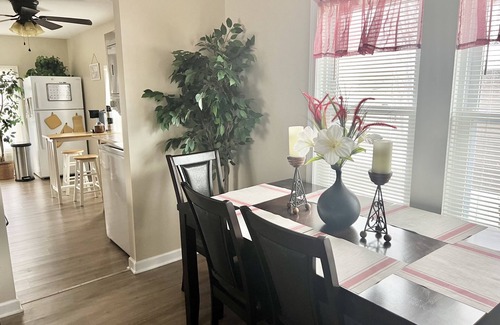 Downtown Rochester Apartment | A Cozy, Homely, Fun Retreat minutes from downtown