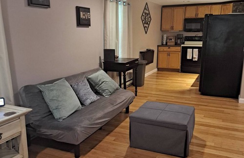 Rochester Apartment | A cozy sunny studio to forget your worries and make memories with loved ones.