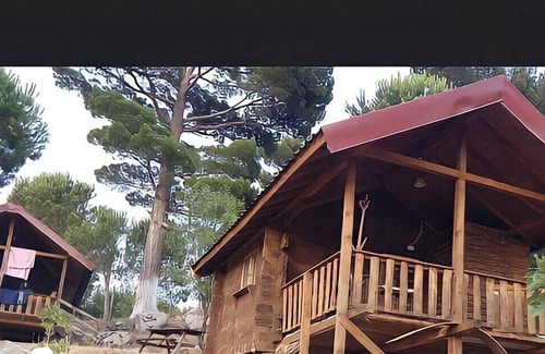 Zeytinli Cabin | A different kind of vacation in Turkey