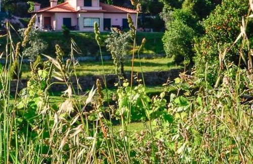 Penafiel Cottage | A house with a soul - House with a garden