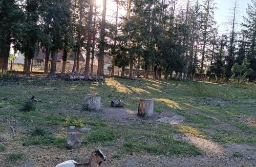 Neung-sur-Beuvron Bed & Breakfast | A l'Ombre des Bois, Chambre double vue jardin