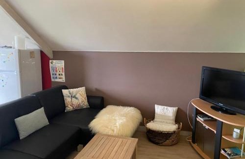 Montigny-le-Tilleul Apartment | A l'orée du Bois