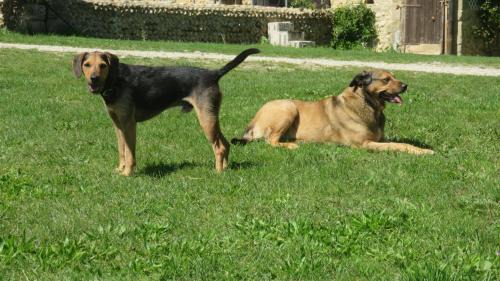 Chateauneuf-sur-Isere Bed & Breakfast | A la belle histoire