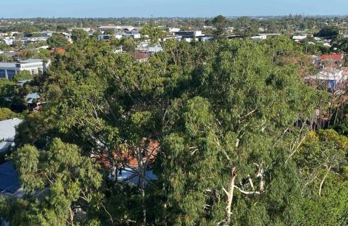 Fremantle Apartment | A Little Slice of Fremantle One Bedroom Character Apartment