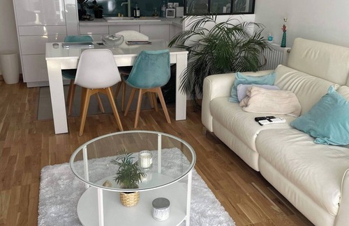 Villejuif Apartment | A Louer 1 Chambre Chez Particulier Durant la Période des JO Métro 7 et 14