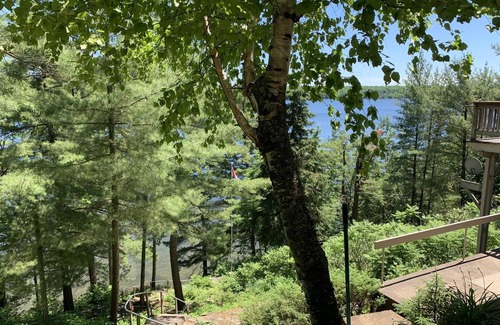 Minden Hills Cottage | A Private Lakefront Cottage on Gull Lake