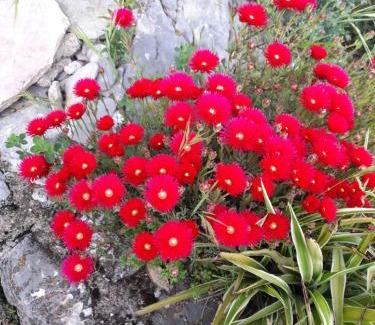 Ricco del Golfo di Spezia Bed & Breakfast | A Ridosso