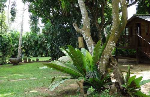 Kosgama House | A serene peaceful environment bordering A River.