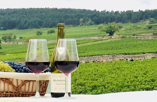 Pommard House | A stylish home featuring a terrace with stunning 180 degree views over the vines
