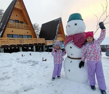 Tirgu Neamt Ski Chalet | A&T Harmony Land