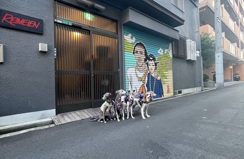 Minato House | A whole house is rented out. Bicycle parking with shutters for motorcycles. Conveniently located to Kaiyukan and Univa