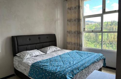 Wonokitri House | AAA, Surya Indah, Pananjakan Bromo Villa, Managed by Triple A Tour, Additional Bromo Sunrise Jeep Tour and Airport Shuttle