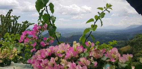 Beragala Bed & Breakfast | Above Beyond