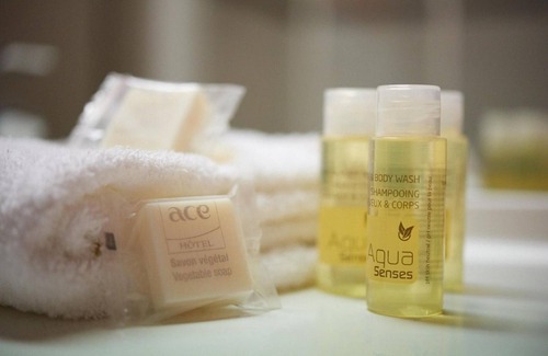 Saint-Andre-les-Vergers Hotel | ACE Hôtel Troyes