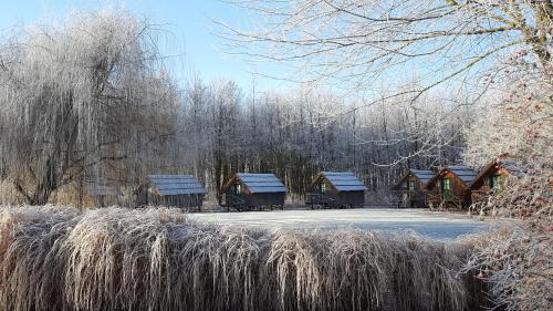 Gyor Resort | Achilles Park