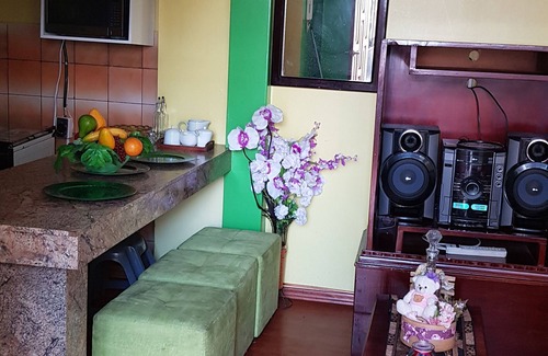 Concepcion Apartment | Acogedor Apartamento Cerca de Todo