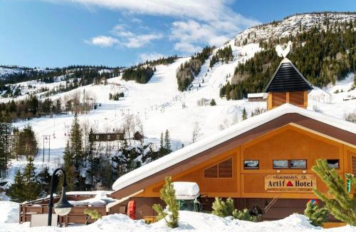 Al House | Actif 305 Apartment by Ål Ski Center