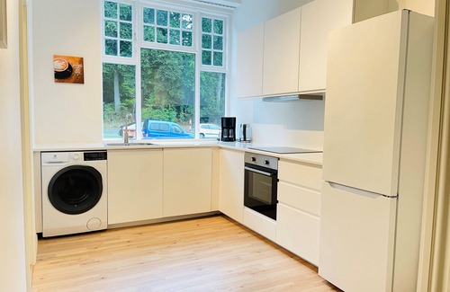 Aalborg Apartment | aday - Aalborg mansion - Big apartment with garden