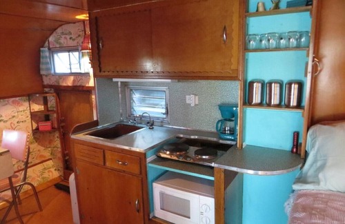 Smyrna House | Adorable vintage flamingo camper