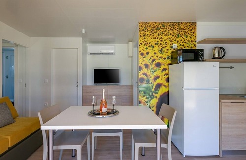 Karigador House | Adriamar Mobile Homes in Camping Park Umag /Adriamar 2439 Park Umag