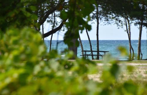 Wasaga Beach House | Adrians Wasaga Beach