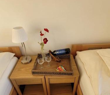 Mosvik Apartment | Adventure house Katrine