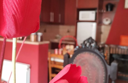 Agilde Cottage | Agildevillas - Casa de Campo C/lareira Perto RTA Amarante