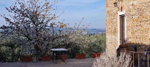 San Casciano in Val di Pesa Apartment | Agriturismo Il Pintello