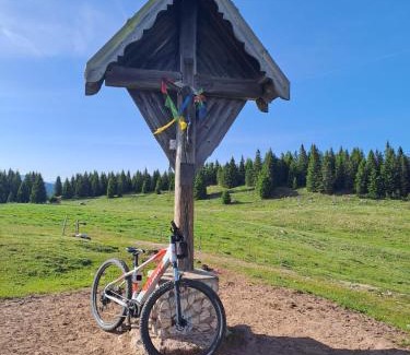 Brez House | Agritur Belsogno B&B