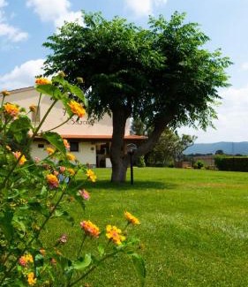 Castiglione della Pescaia House | Agriturismo Diaccia Botrona