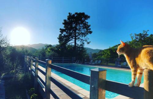 Pescaglia House | Agriturismo Il Pino