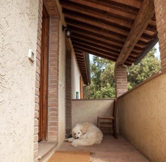 Suvereto House | Agriturismo Boschi di Montecalvi