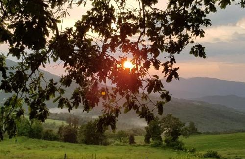 Pomarance Bed & Breakfast | Agriturismo Da Pietro
