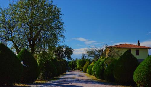 Campiglia Marittima House | Agriturismo Il Cuscino Nel Pagliaio