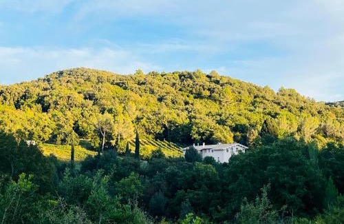 Livorno Bed & Breakfast | Agriturismo Il Molino