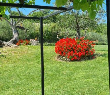 Collesalvetti House | Agriturismo La Casa dei Ricordi